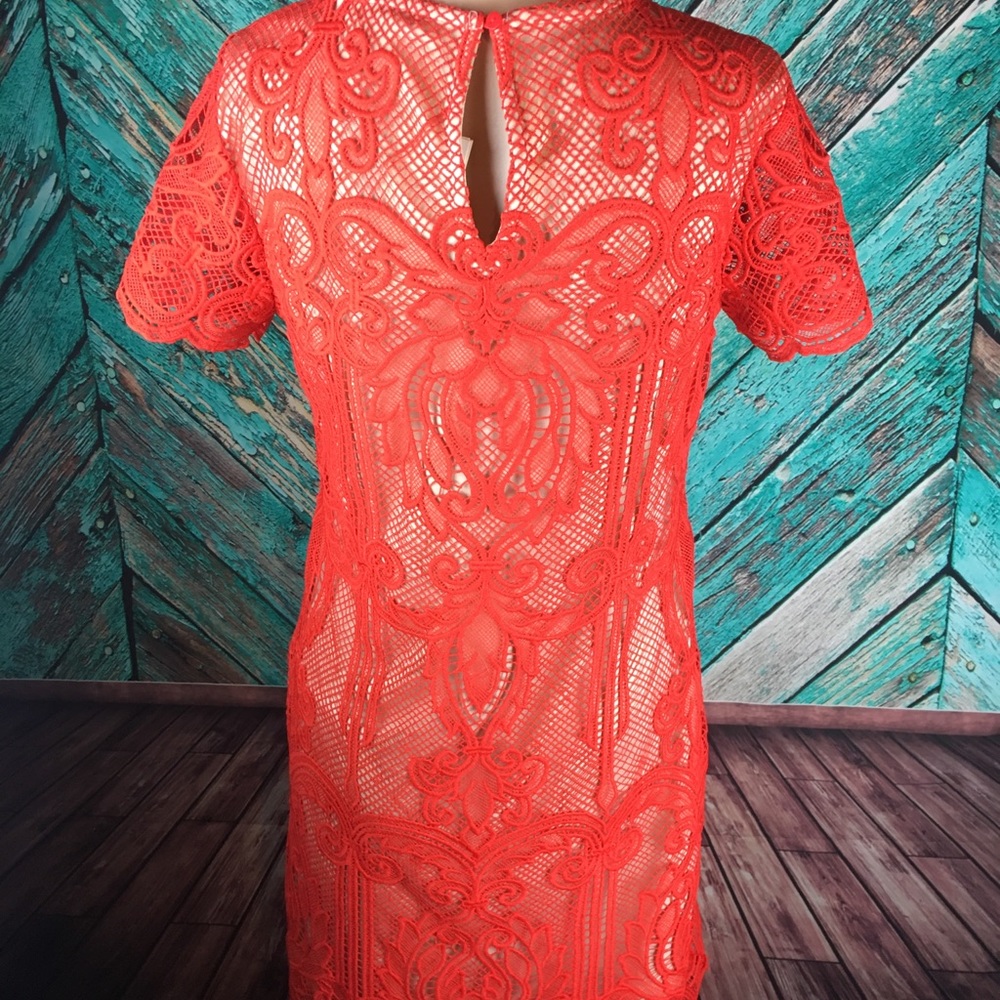 Margot Lace Dress From Stitch Fix - Picture 3 of 8